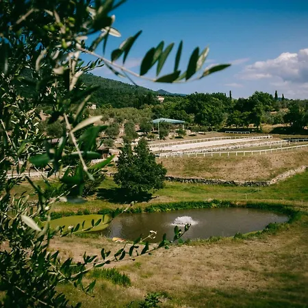 Fattoria Degli Usignoli ファームステイ サン・ドナート・イン・フロンツァノ