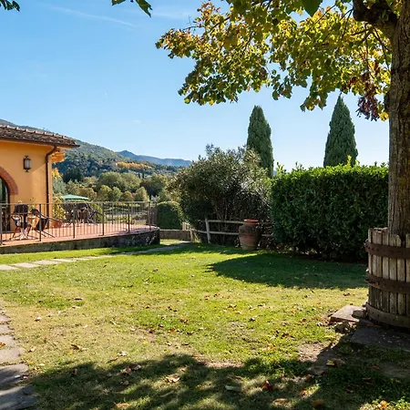 Fattoria Degli Usignoli * サン・ドナート・イン・フロンツァノ